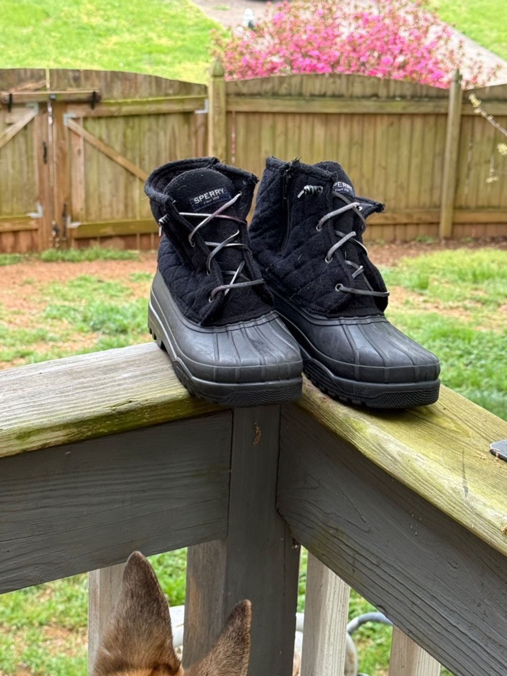 Sperry Black Quilted Waterproof Duck Boots
